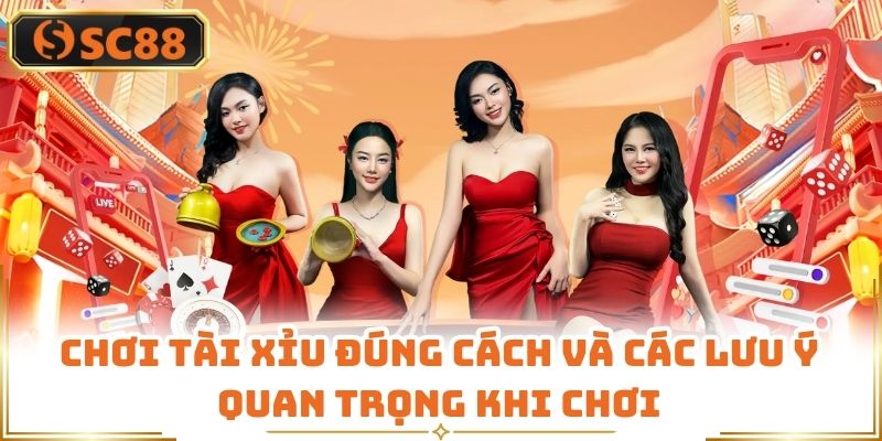 Chơi Tài Xỉu Đúng Cách Và Các Lưu Ý Quan Trọng Khi Chơi